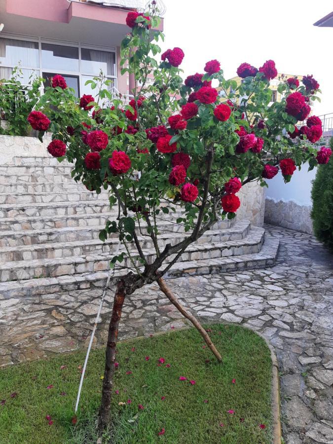 Guest Rooms Deva Μπουργκάς Εξωτερικό φωτογραφία