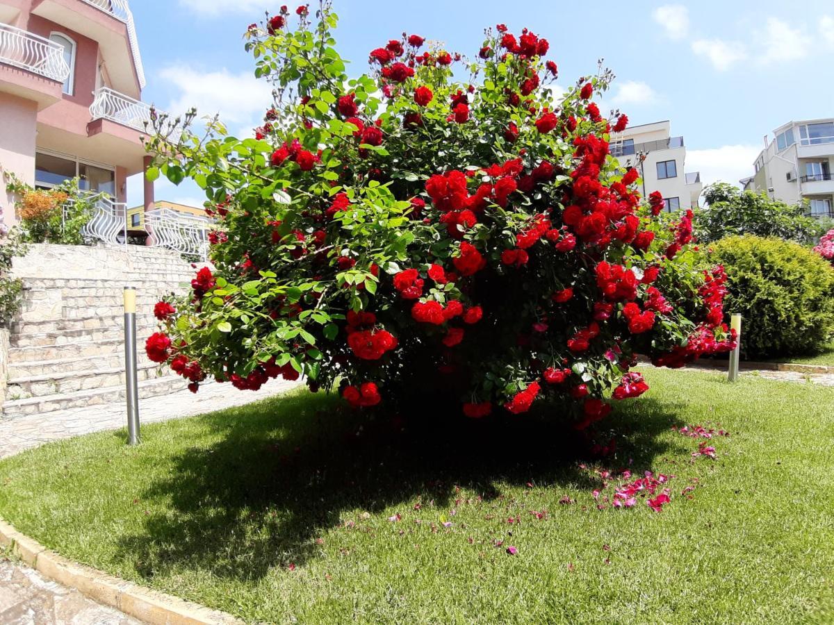 Guest Rooms Deva Μπουργκάς Εξωτερικό φωτογραφία